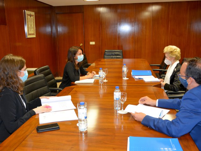 Un momento de la reunión entre la secretaria de Estado de Sanidad y el Consejo General de Enfermería